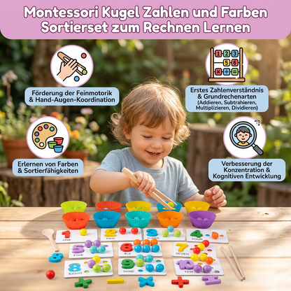 Montessori Kugel Zahlen und Farben Sortierset zum Rechnen Lernen