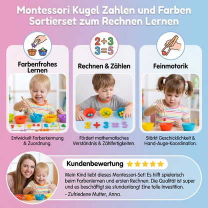 Montessori Kugel Zahlen und Farben Sortierset zum Rechnen Lernen