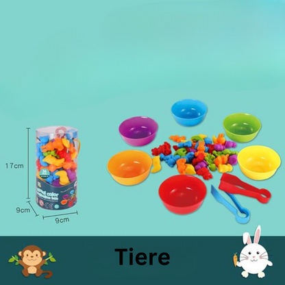 Montessori Buntes Sortierspiel