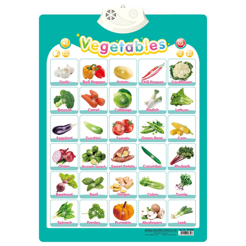 Sprechendes Sound Board zum Englisch Lernen für Kinder