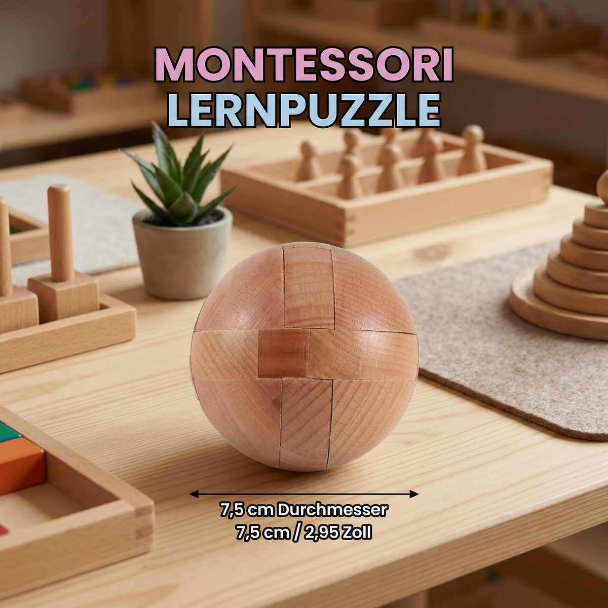 Montessori 3D Holz Lernspiel Puzzle Rätsel