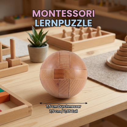 Montessori 3D Holz Lernspiel Puzzle Rätsel