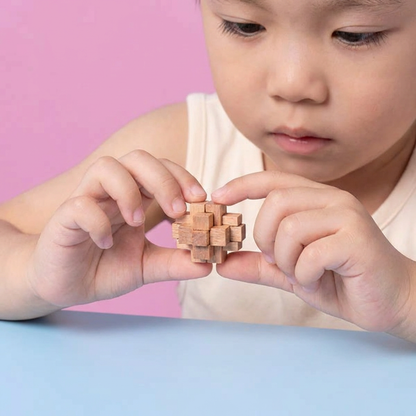 Montessori 3D Holz Lernspiel Puzzle Rätsel