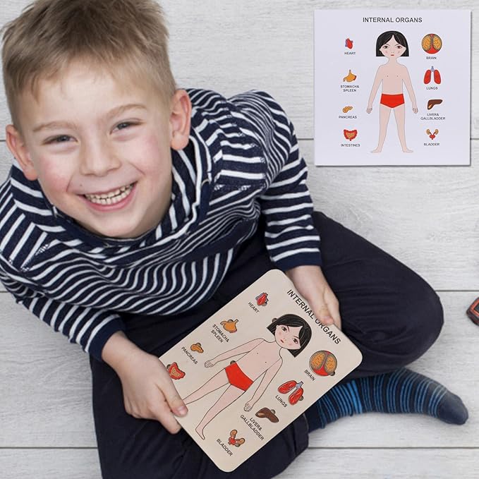 Lerne Den Menschlichen Körper – Anatomie Holzpuzzle